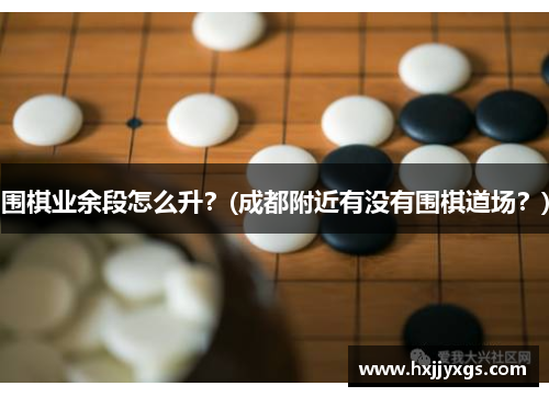 围棋业余段怎么升？(成都附近有没有围棋道场？)
